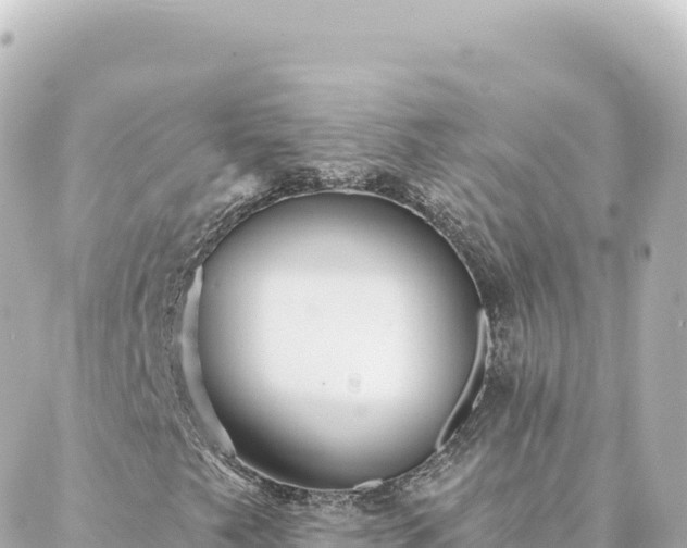 X0000088431249200705291516