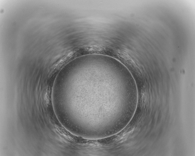 X0000088431250200705291516