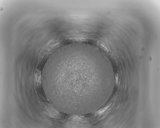 X0000088431251200705291516