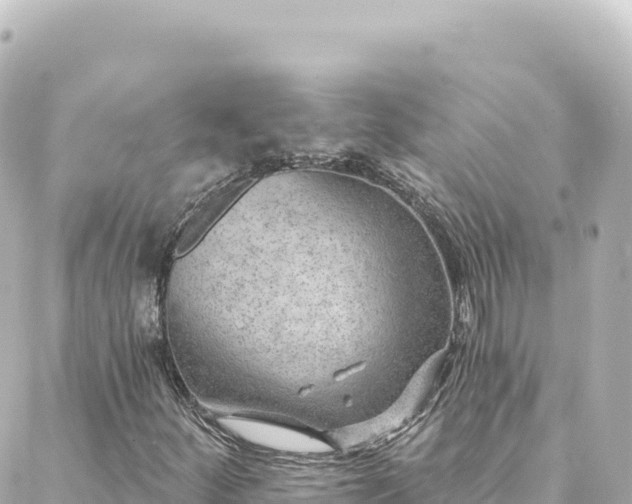 X0000088431252200705291516