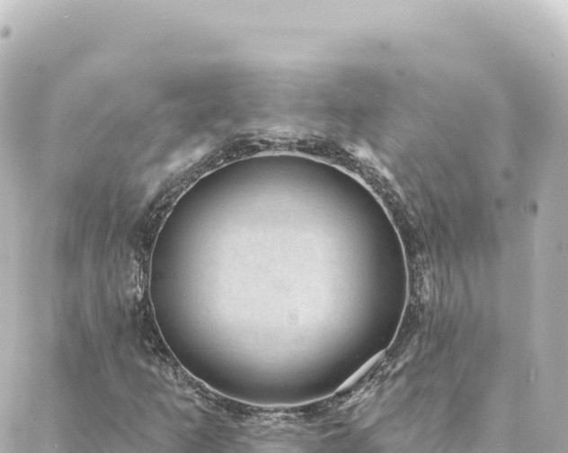 X0000088431253200705291516