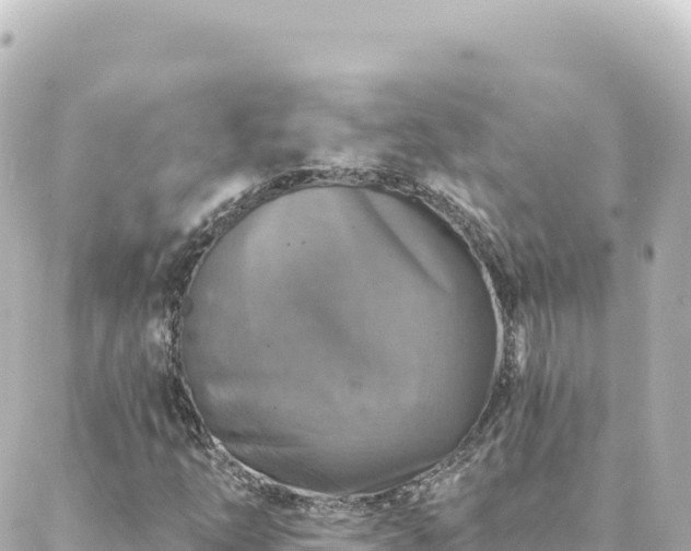 X0000088431254200705291516