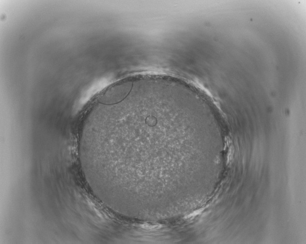 X0000088431255200705291516