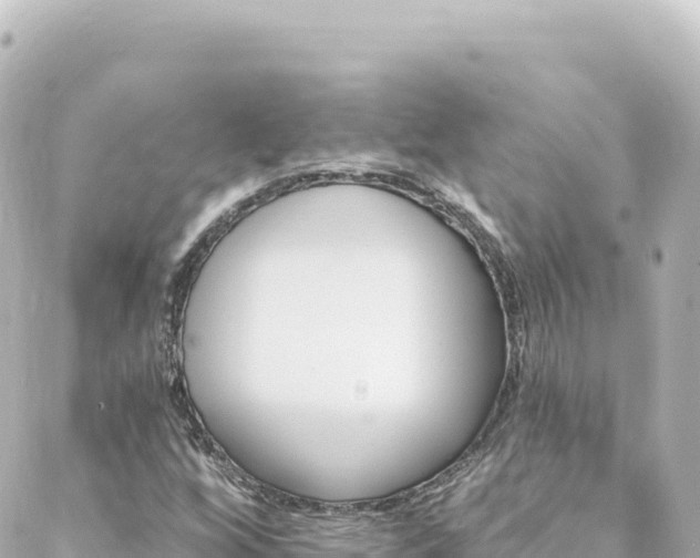 X0000088431256200705291516