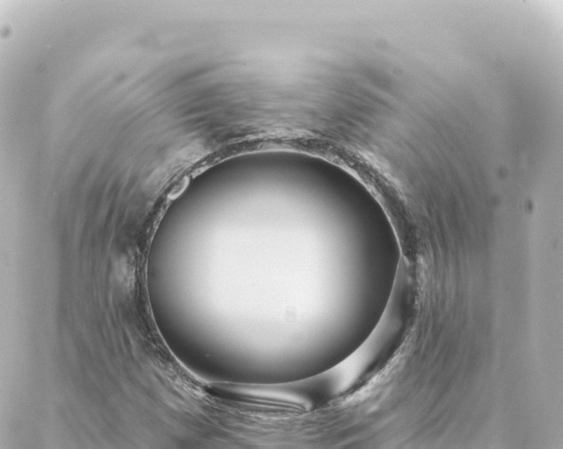 X0000088431257200705291516