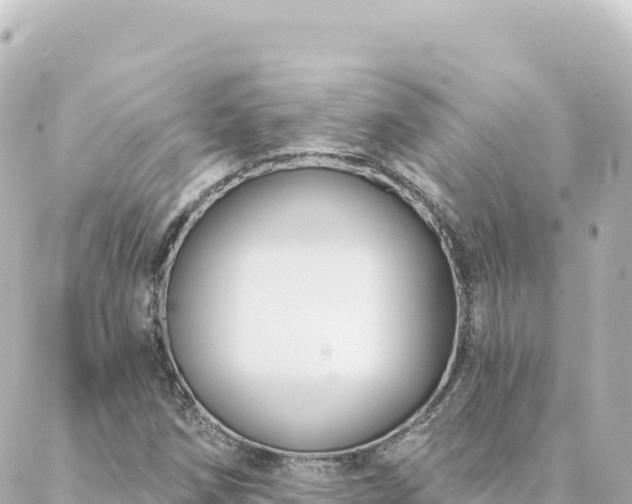 X0000088431258200705291516