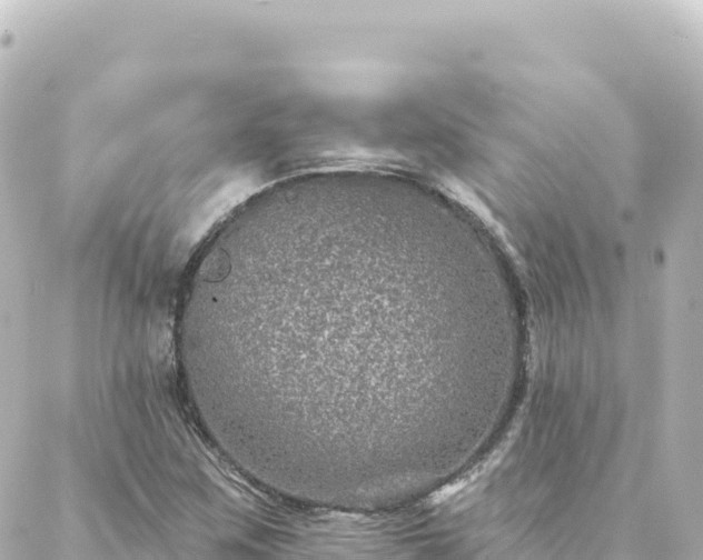 X0000088431259200705291516