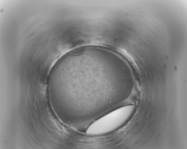 X0000088431260200705291516