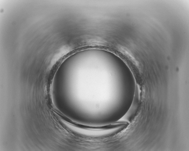 X0000088431261200705291516