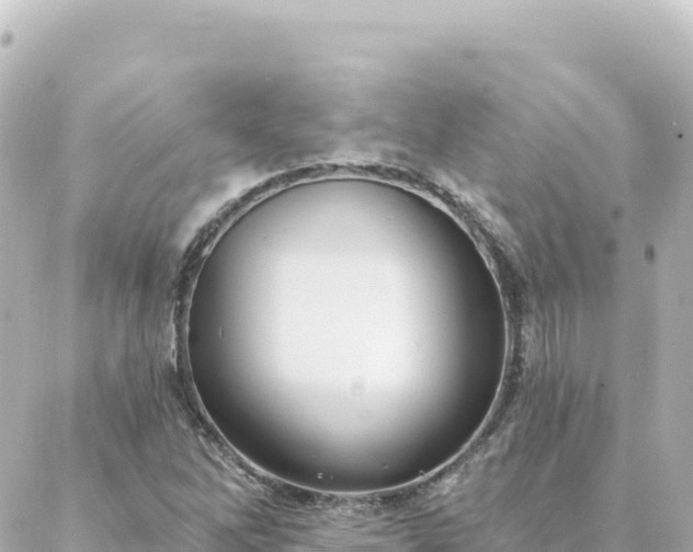 X0000088431262200705291516