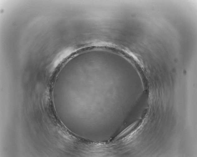 X0000088431263200705291516