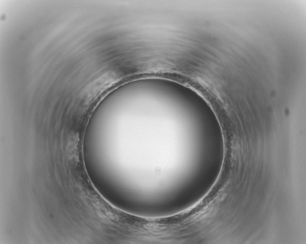 X0000088431265200705291516