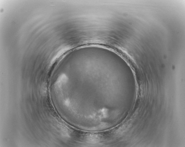 X0000088431266200705291516