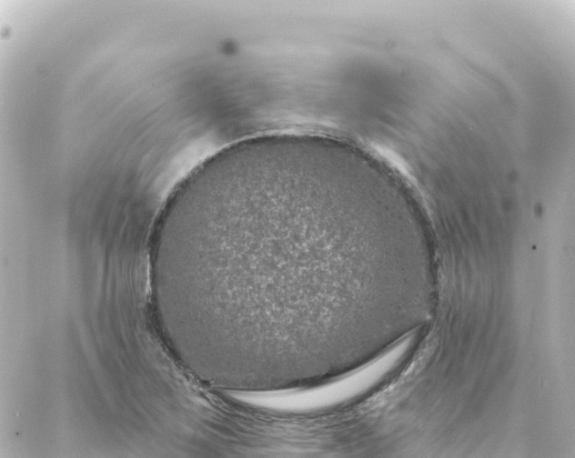 X0000088431267200705291516