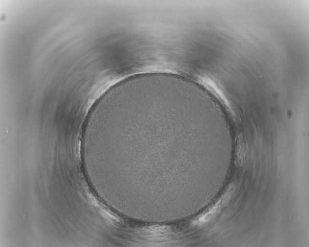 X0000088431268200705291516