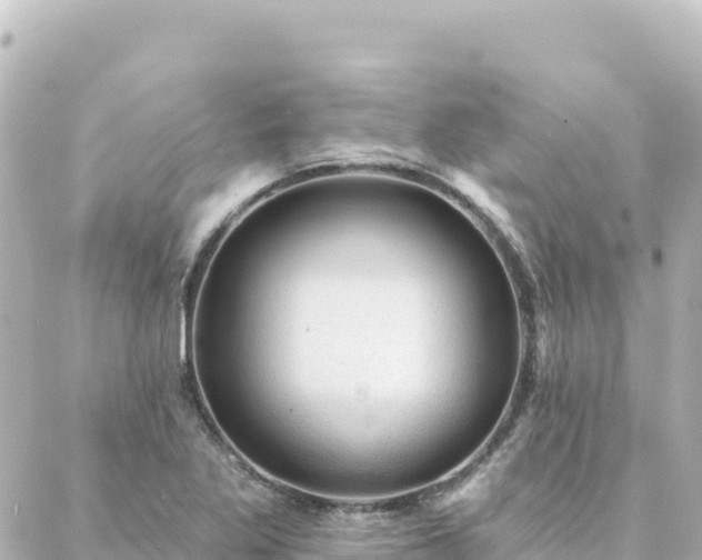 X0000088431269200705291516