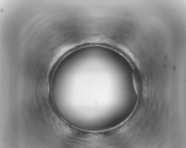 X0000088431270200705291516