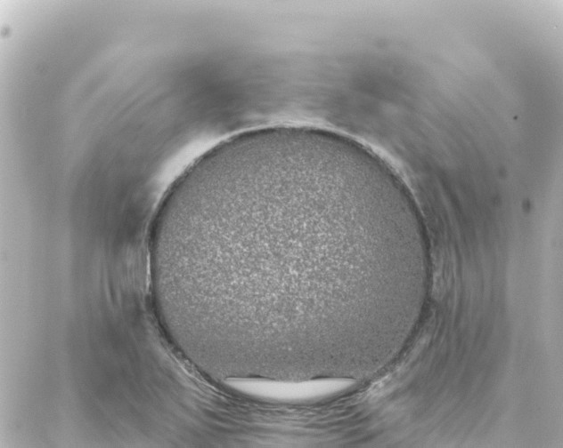 X0000088431271200705291516