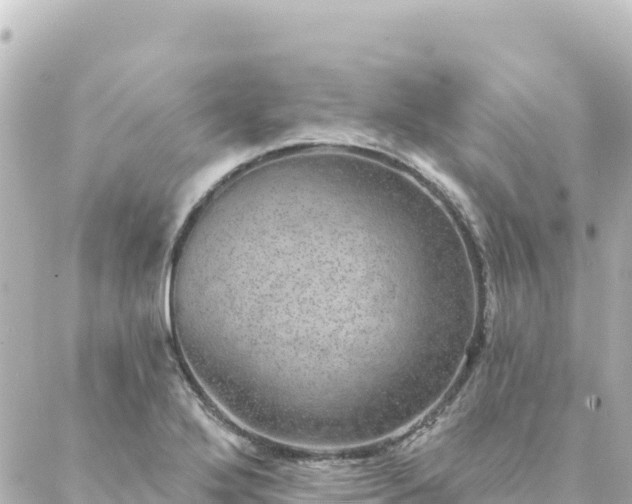 X0000088431272200705291516