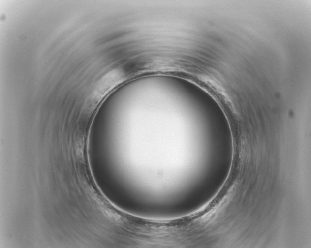 X0000088431273200705291516