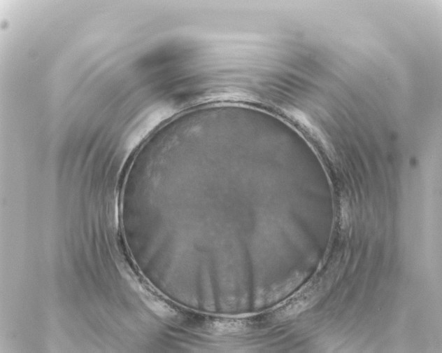 X0000088431274200705291516