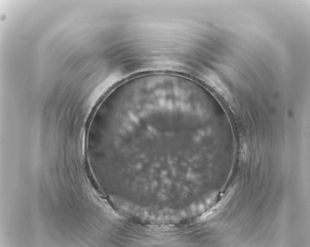 X0000088431275200705291516