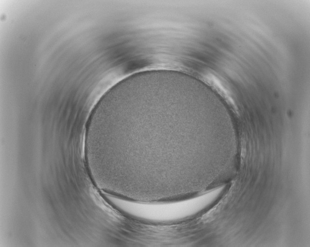 X0000088431276200705291516