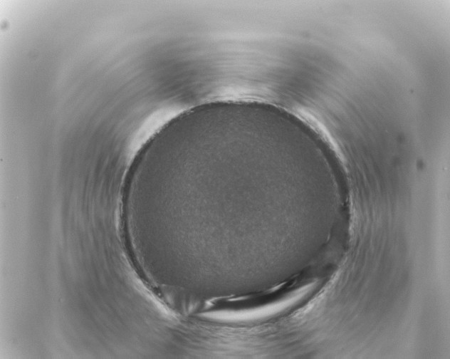 X0000088431277200705291516