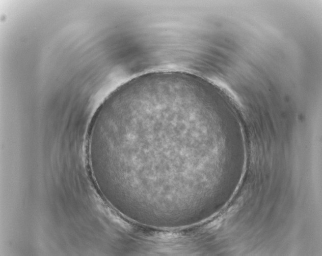 X0000088431278200705291516