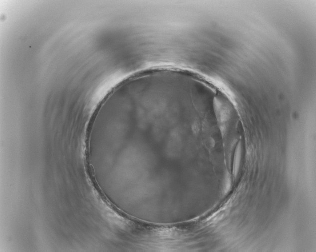 X0000088431279200705291516