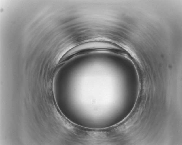 X0000088431281200705291516