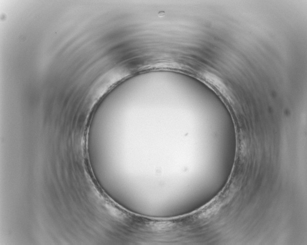 X0000088431282200705291516