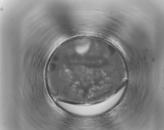 X0000088431283200705291516