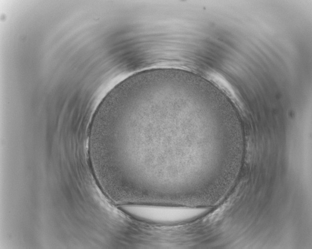 X0000088431284200705291516