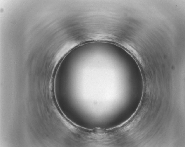 X0000088431285200705291516