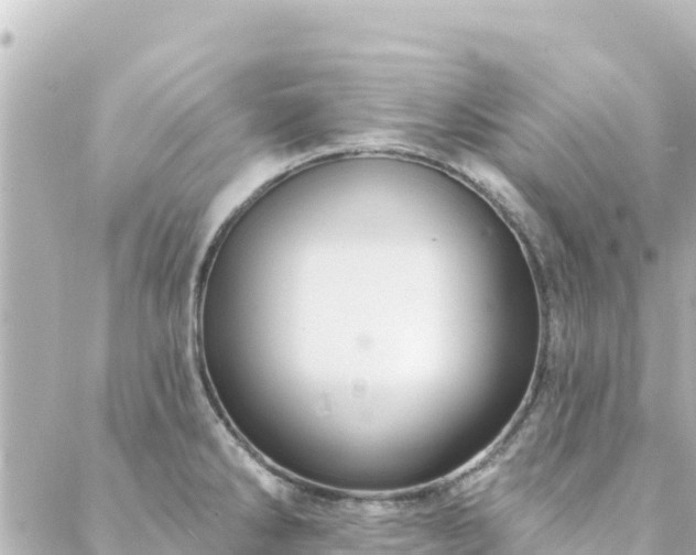 X0000088431286200705291516