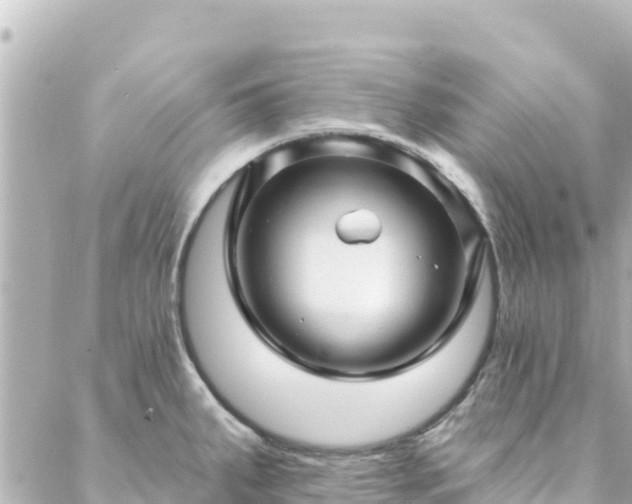 X0000088431287200705291516