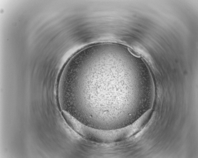 X0000088431288200705291516