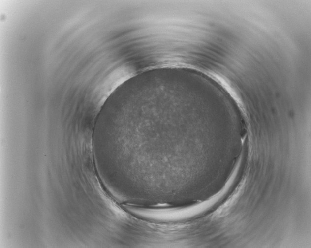 X0000088431289200705291516