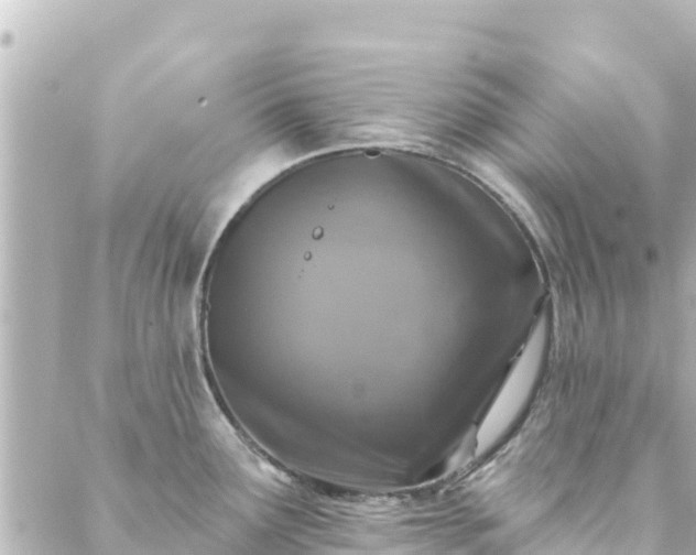 X0000088431291200705291515