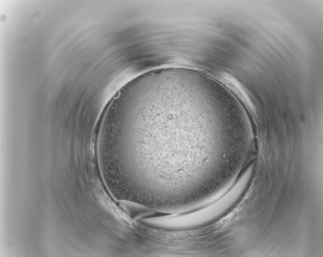 X0000088431292200705291515