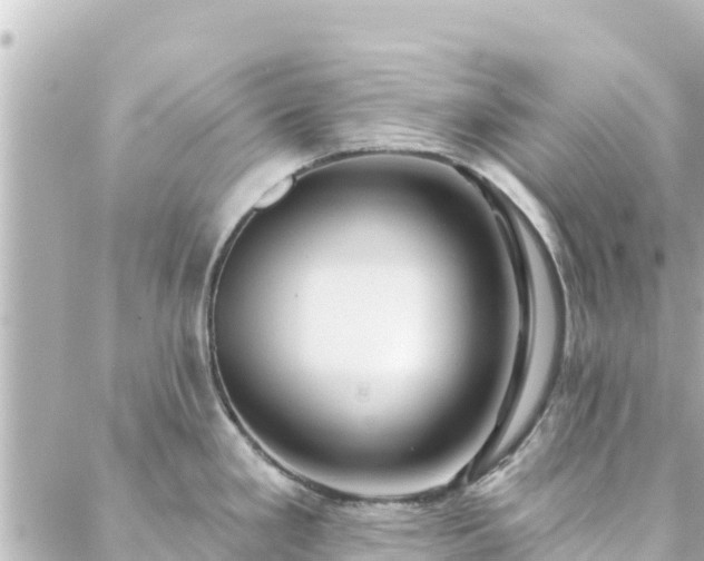 X0000088431293200705291515