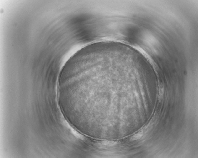 X0000088431294200705291515