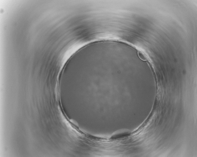 X0000088431295200705291515