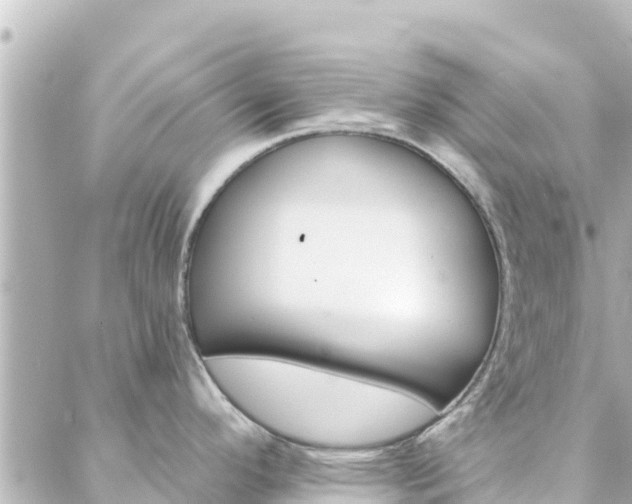 X0000088431296200705291515