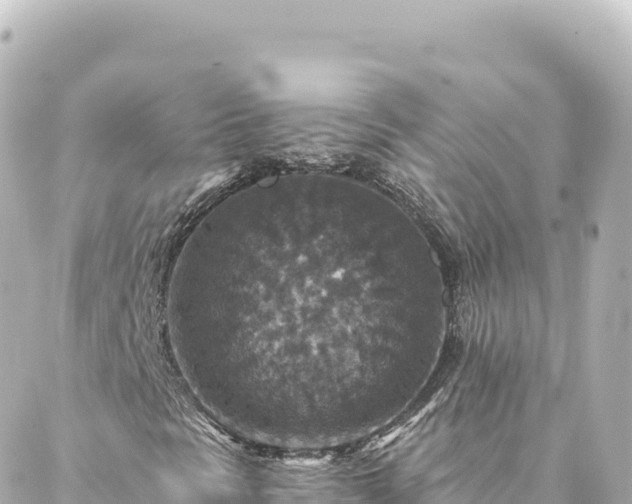 X0000088431297200705291515