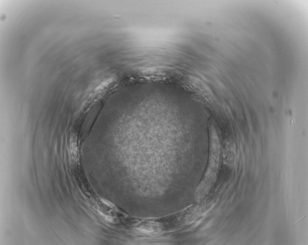 X0000088431298200705291515