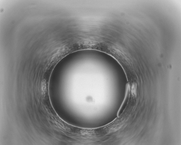 X0000088431299200705291515