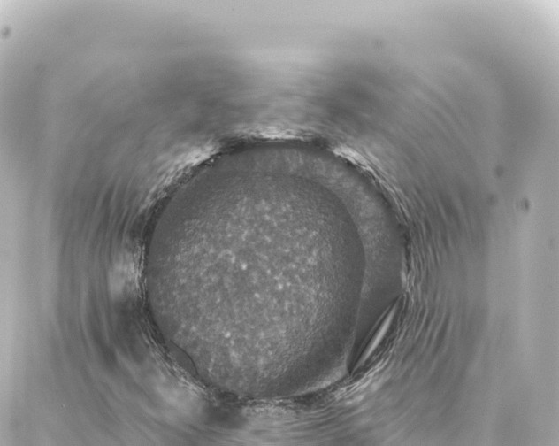 X0000088431300200705291515