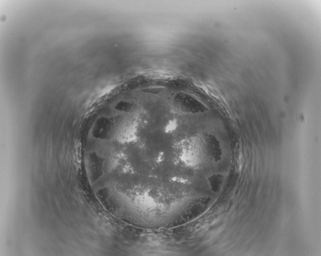 X0000088431301200705291515